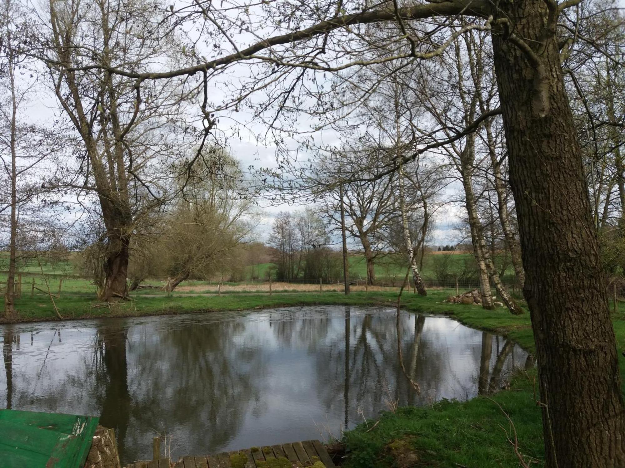Le Sentier Des Etangs Daire Barsy Dış mekan fotoğraf